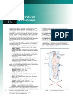 À L'anatomie: Plan Médian (Sagittal) Plan Frontal (Coronal)