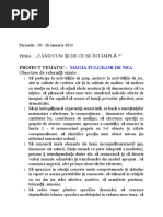 Proiect Magia Fulgilor