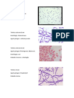 Microbiologie 2 2 1