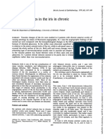 Vascular: Changes The Chronic Anterior Uveitis