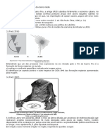 geografia- geopolítica;