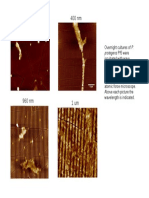 Control Smooth 400 NM: Protegens Pf5 Were