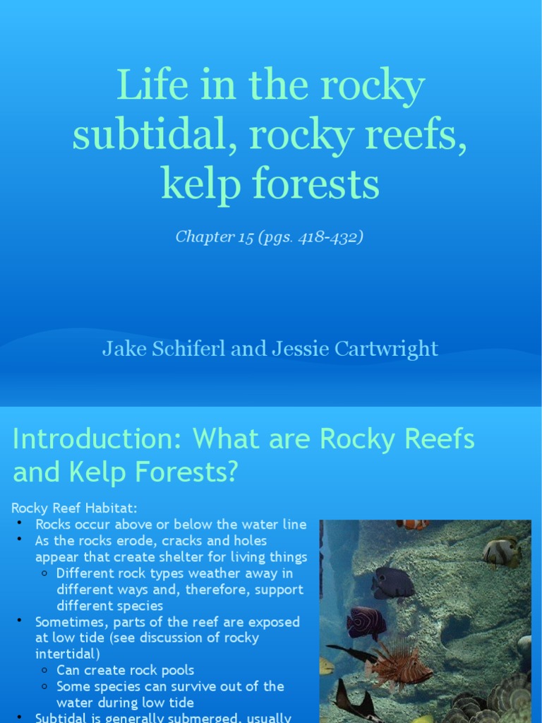 Marine Ecosystem Dynamics | PDF | Sea | Algae