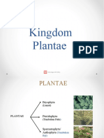 Kingdom - Plantae (1) 2 Dikonversi