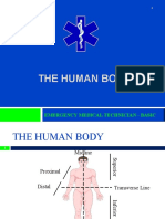 5 Human Body Anatomic Terms