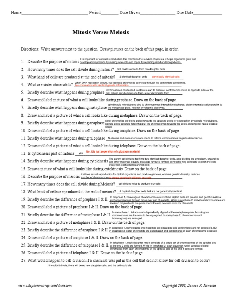 Mitosis Meiosis Compared | Download Free PDF | Meiosis | Mitosis