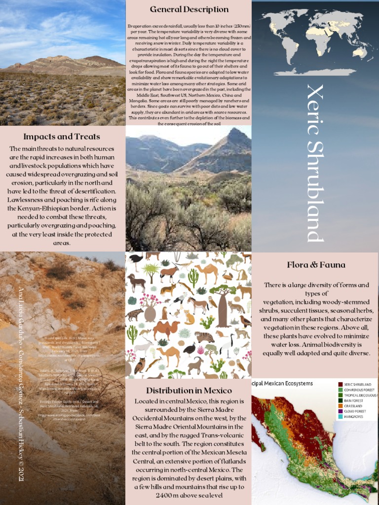 Xeric Shrubland PDF Natural Environment Physical Geography