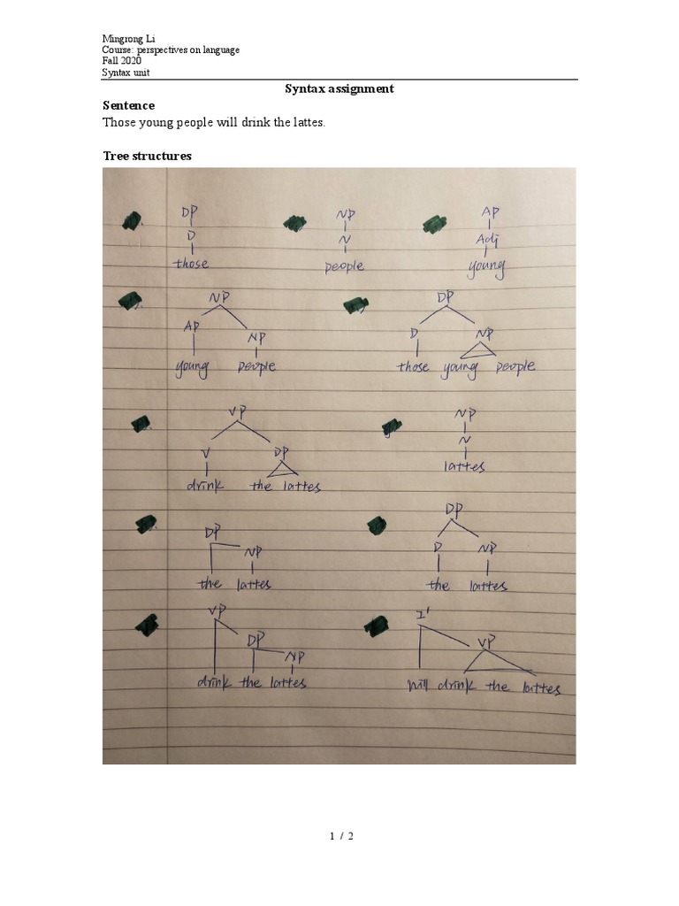 Mingrong Li-Syntax Assignment | PDF