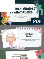 Glándulas tiroides y paratiroides