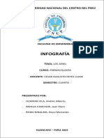 Infografia de Aines PDF