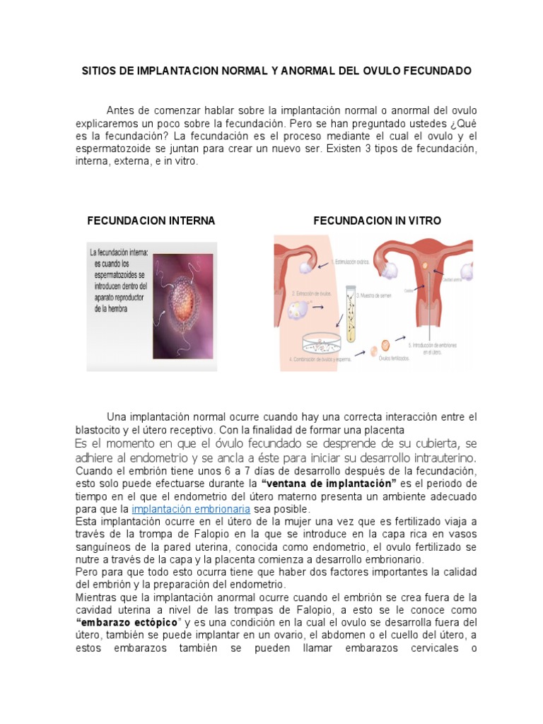 Sitios de Implantacion Normal y Anormal Del Ovulo Fecundado | PDF ...