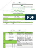 Plan cuidados niño leucemia