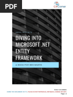 Diving Into Microsoft Net Entity Framework