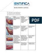 Tarea 2 Músculos Del Tronco