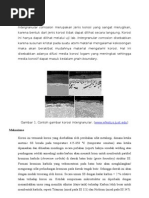 Download korosi Intergranular by zulfiani zulkarnaini SN55246622 doc pdf