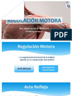 246423029-regulacion-motora.pdf