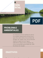 Plan de Acción Medioambiental