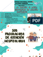 Presentación PROGRAMA DE ATENCIÓN AL ADULTO MAYOR (MAIS) - SUBPROGRAMA DE ATENCIÓN HOSPITALARIA