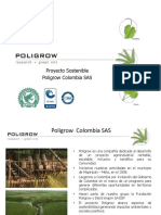 Poligrow Diseno de Plantacion Palmera Sostenible