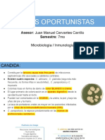 Asesoria - Micosis Oportunistas