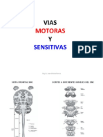 Vías motoras y sensitivas del SNC