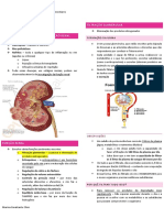  FUnção Renal