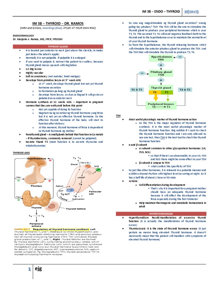Thyroid Gland Overview and Disorders | PDF | Hyperthyroidism | Thyroid