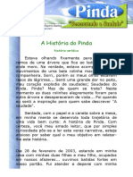 A história do Pinda: a rolinha que encontrou um lar