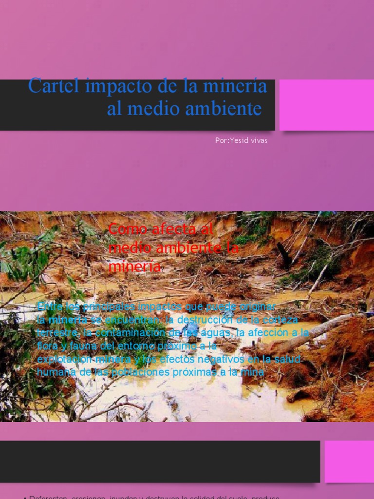Cartel Impacto de La Minería Al Medio Ambiente | PDF | Ciencia y ...