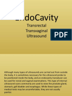Endocavity: Transrectal Transvaginal Ultrasound