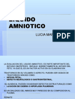 LIQUIDO+AMNIOTICO