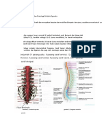 PDF Anatomi Dan Fisiologi Medula Spinalis - Compress Dikonversi