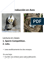Clase - Reproducción en Aves