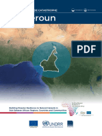 CAMEROUN - REPORT - REVIEW - FR - COMP-Profil Des Risques