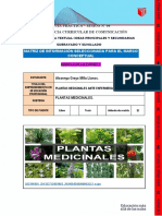 Formato para La Matriz de Información Relevante