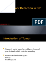 Brain Tumor Detection in DIP: Presented by