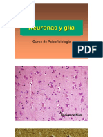 03 Neuronas y Glía Disc