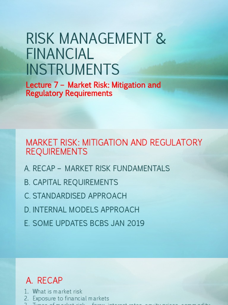 7 Market Risk - Mitigation and Regulatory Requirements | PDF | Risk ...