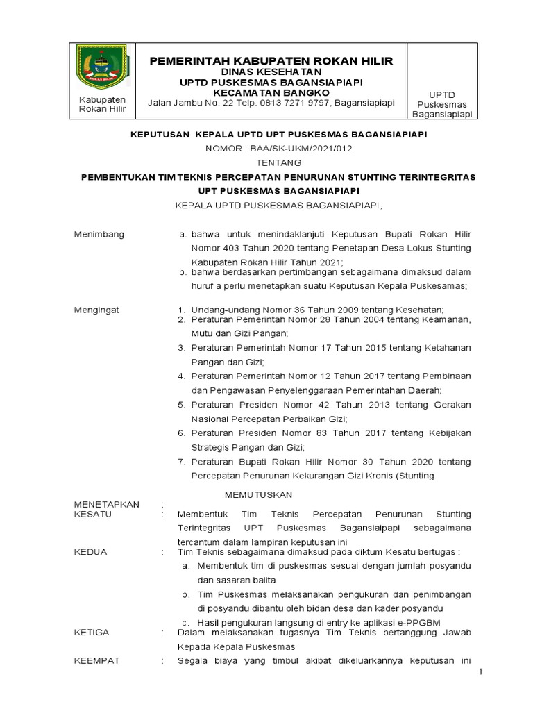 SK Pembentukan Tim Stunting Puskesmas Bagansiapiapi | PDF