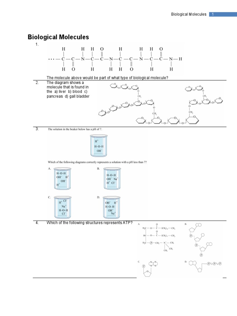 Understanding Biological Molecules | PDF | Hydrolysis | Biomolecules