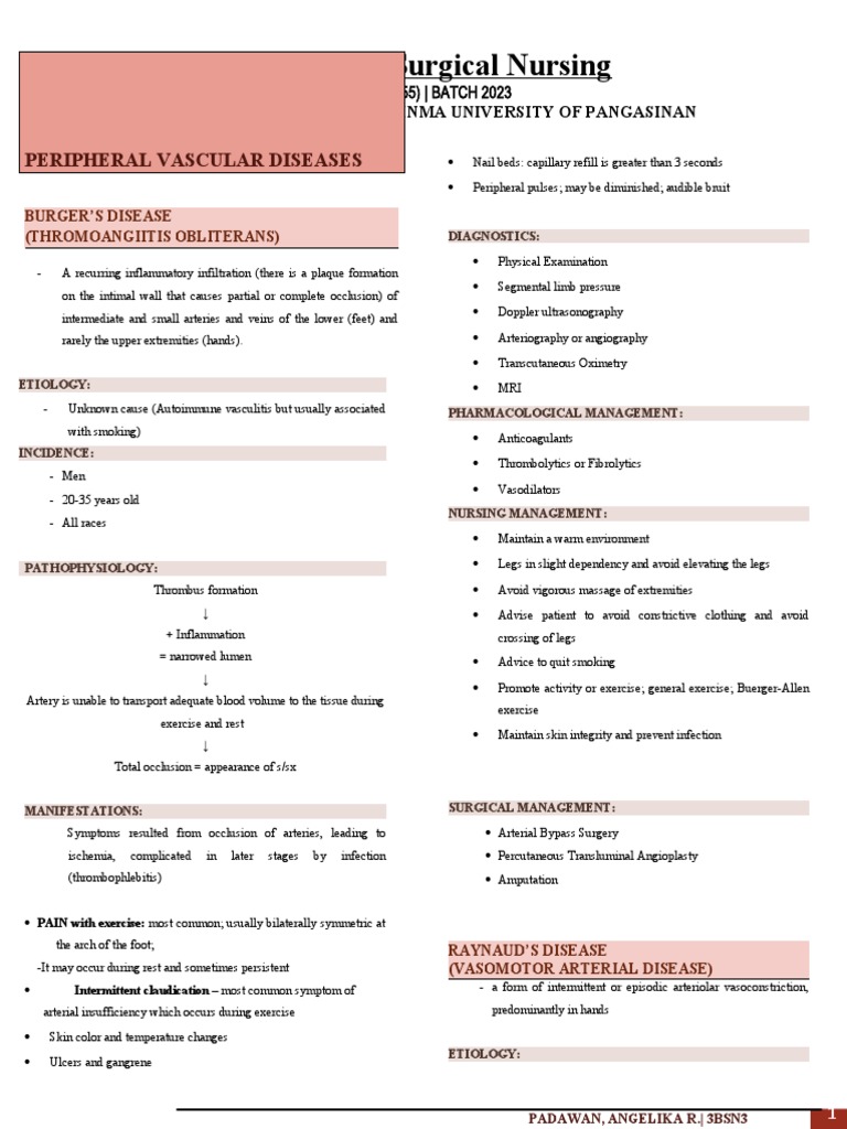 Peripheral Vascular Disease PDF Blood Vessel Interventional Radiology