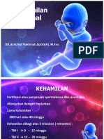 kehamilan normal