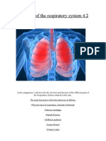 Function of The Respiratory System 4.2