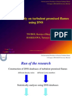 A Statistical Study On Turbulent Premixed Flames Using DNS