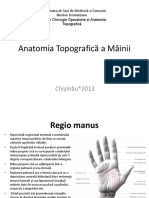 Anatomia Topografica a Mâinii