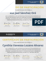 Certificados de Participación-Cch