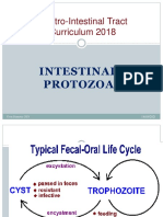 Intestinal Protozoa 2021