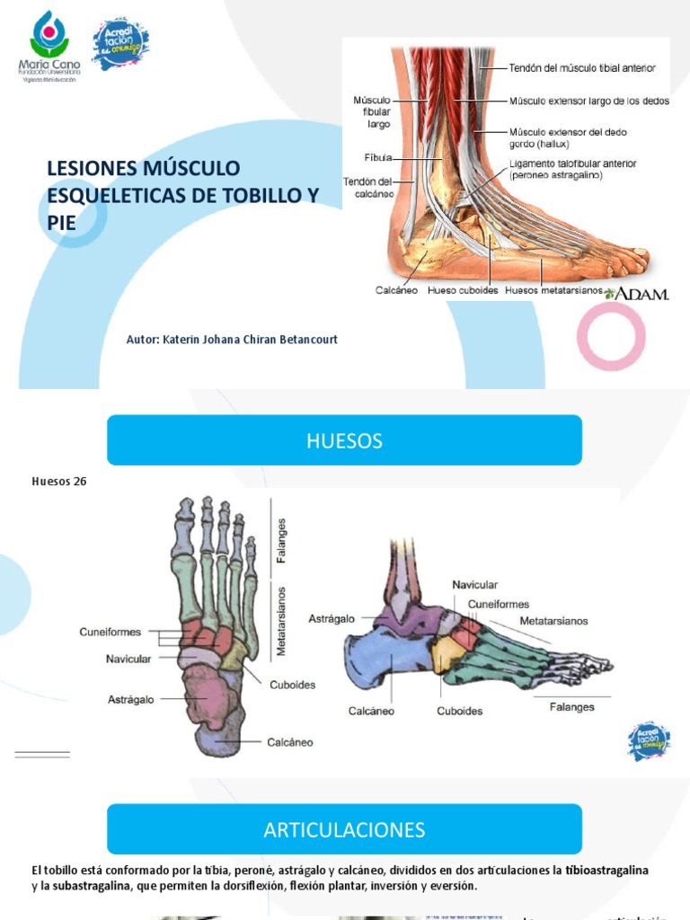 Lesiones Musculoesqueleticas Tobillo y Pie | PDF | Tobillo | Pie
