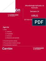 Virus que causan enfermedades cutáneas, del sistema nervioso y respiratorio