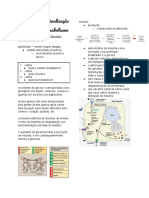 Estrategias de Sinalização e Regulação Do Anabolismo